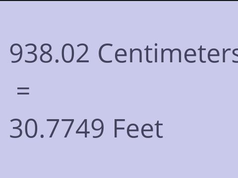 938.02 CM TO FEET