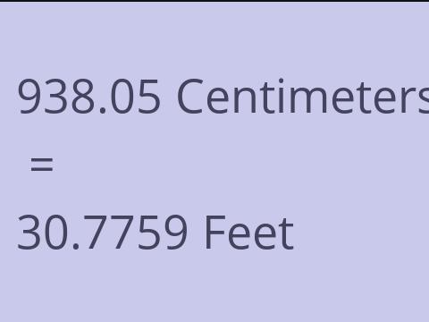 938.05 CM TO FEET