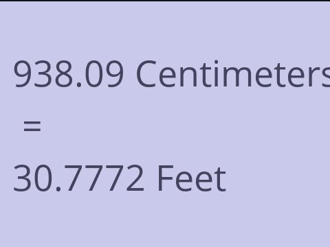 938.09 CM TO FEET