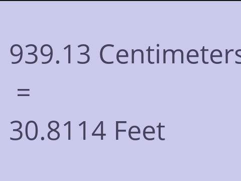 939.13 CM TO FEET