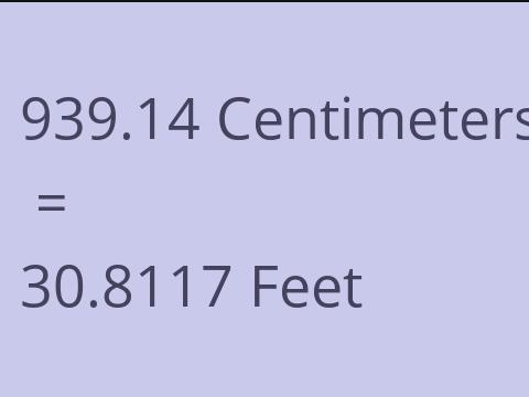 939.14 CM TO FEET