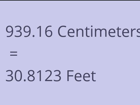 939.16 CM TO FEET