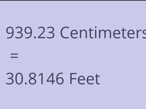 939.23 CM TO FEET