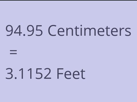 94.95 CM TO FEET