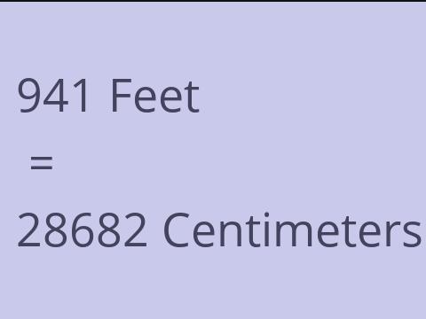 941 FEET TO CM