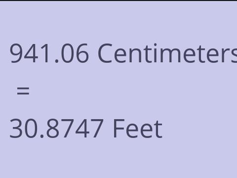 941.06 CM TO FEET