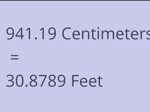 941.19 CM TO FEET