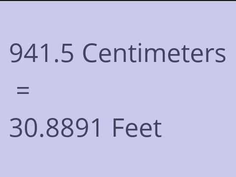 941.5 CM TO FEET