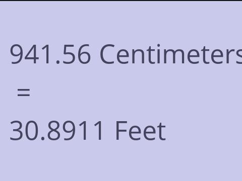 941.56 CM TO FEET