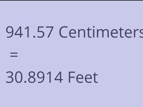 941.57 CM TO FEET