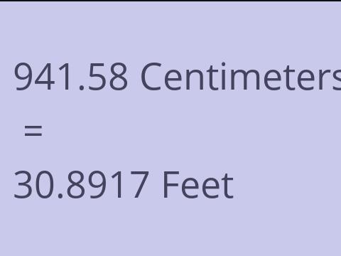 941.58 CM TO FEET