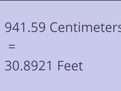 941.59 CM TO FEET