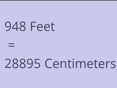 948 FEET TO CM