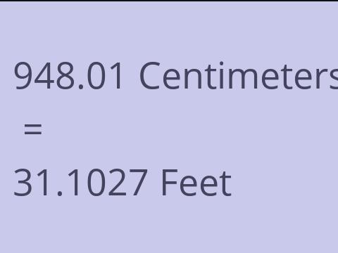 948.01 CM TO FEET