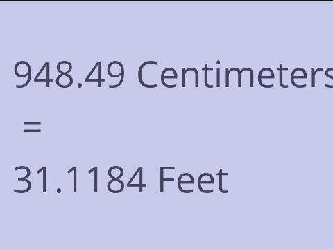 948.49 CM TO FEET