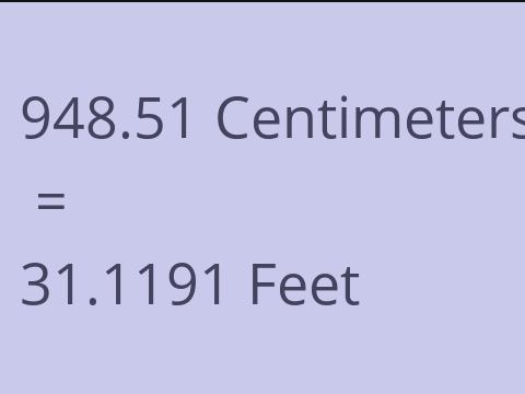 948.51 CM TO FEET