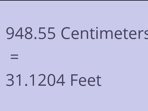 948.55 CM TO FEET