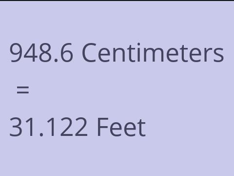 948.6 CM TO FEET