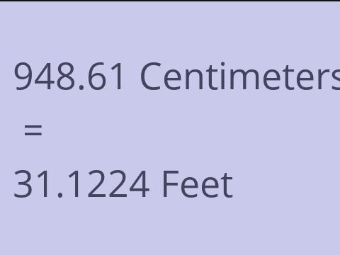 948.61 CM TO FEET