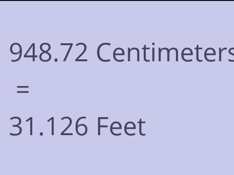 948.72 CM TO FEET