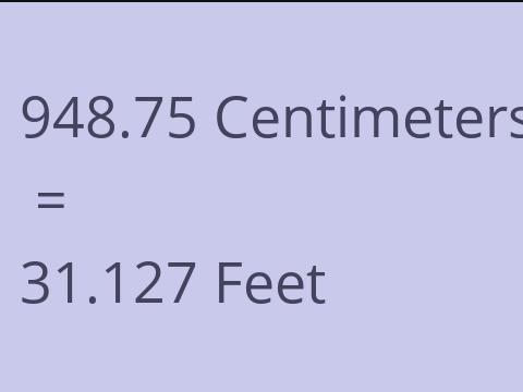 948.75 CM TO FEET