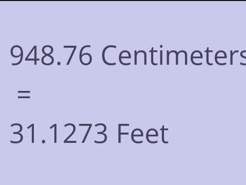 948.76 CM TO FEET