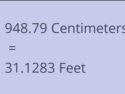 948.79 CM TO FEET