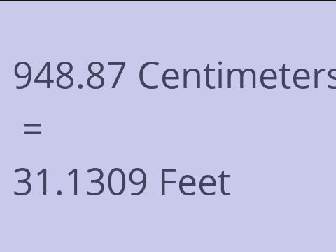 948.87 CM TO FEET