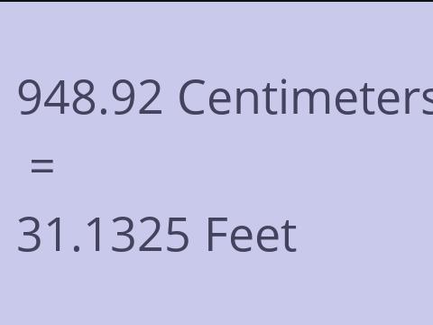 948.92 CM TO FEET