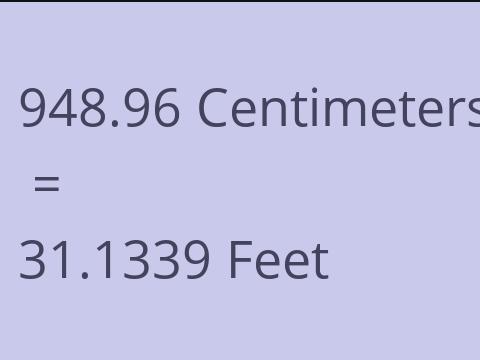 948.96 CM TO FEET