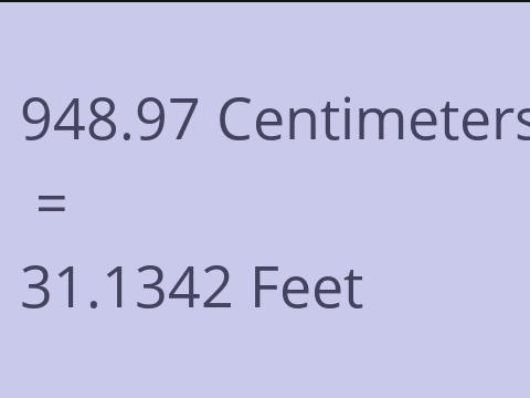 948.97 CM TO FEET