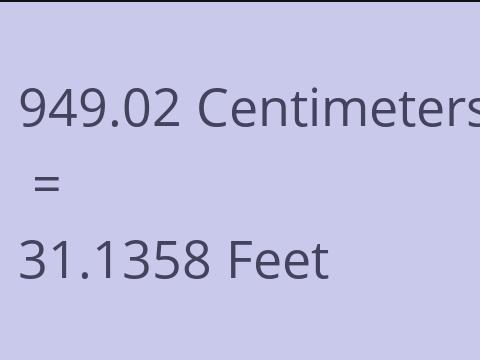 949.02 CM TO FEET