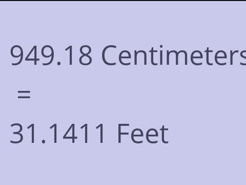 949.18 CM TO FEET