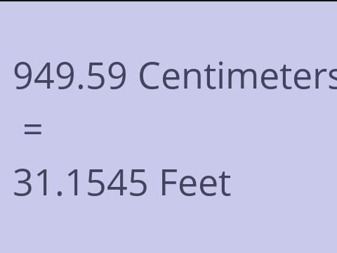 949.59 CM TO FEET