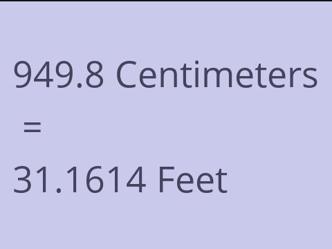 949.8 CM TO FEET