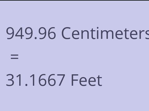 949.96 CM TO FEET