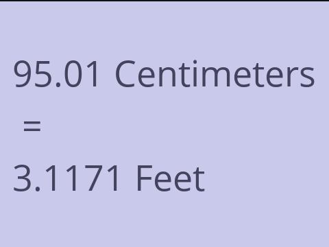 95.01 CM TO FEET