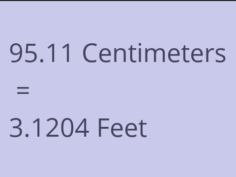 95.11 CM TO FEET