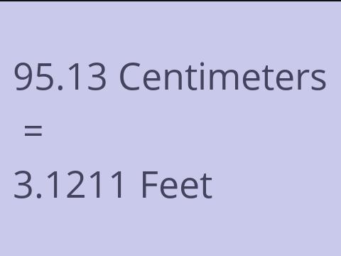 95.13 CM TO FEET