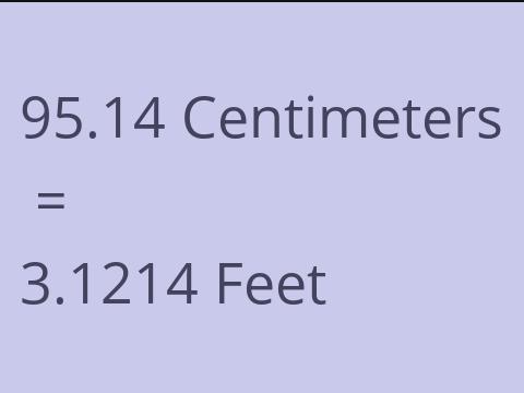 95.14 CM TO FEET