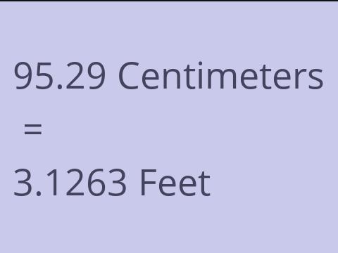 95.29 CM TO FEET