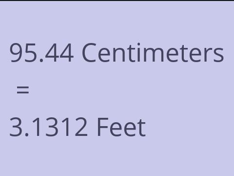 95.44 CM TO FEET