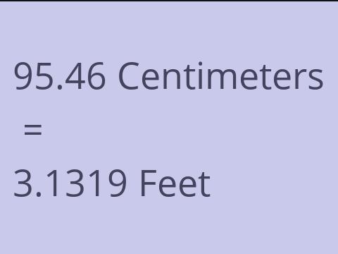 95.46 CM TO FEET