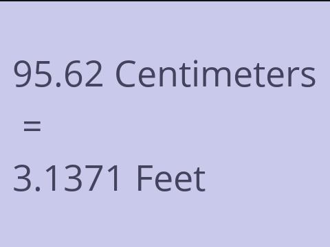 95.62 CM TO FEET