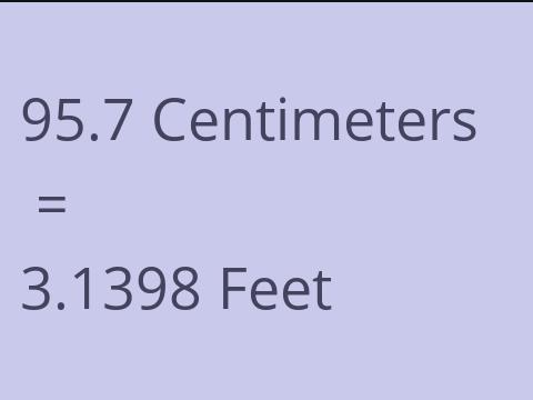 95.7 CM TO FEET