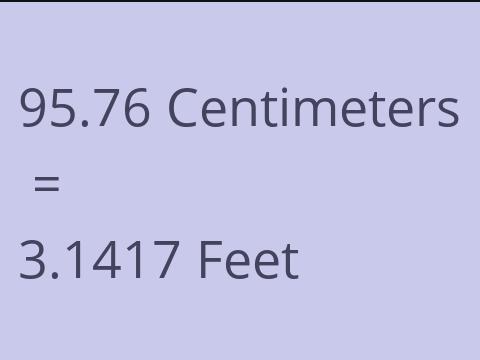 95.76 CM TO FEET