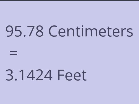 95.78 CM TO FEET