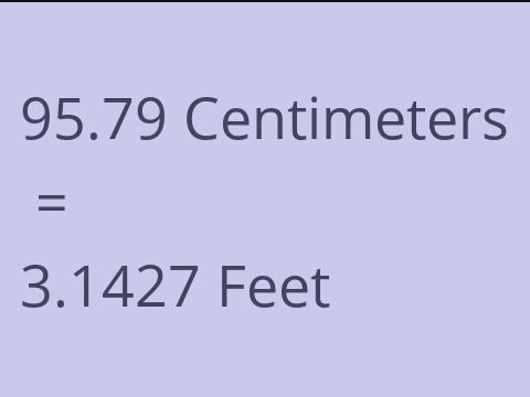 95.79 CM TO FEET