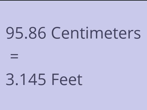 95.86 CM TO FEET