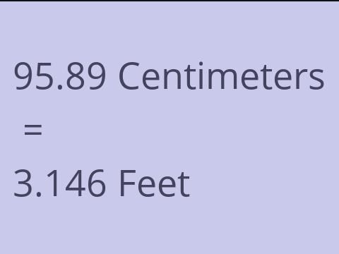 95.89 CM TO FEET